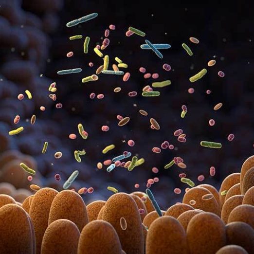 how-to-improve-human-microbiome